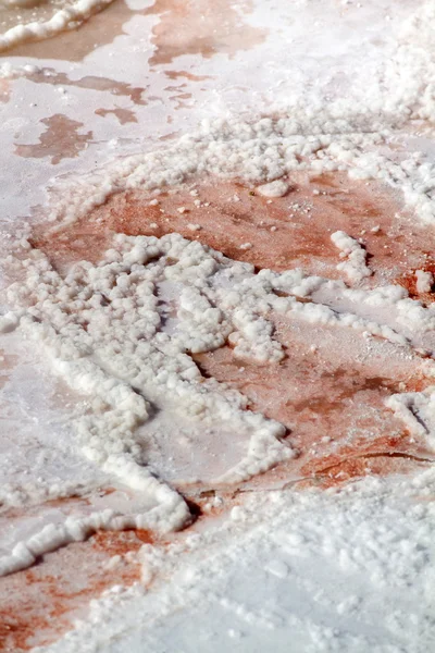 Captura de fondo de una corteza seca de sal — Foto de Stock