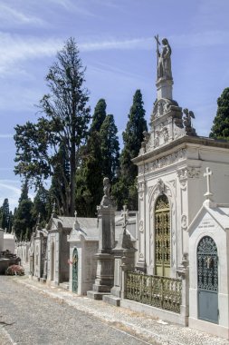 ünlü Portekizli mezarlığı Prazeres bölümünden