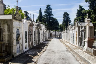 ünlü Portekizli mezarlığı Prazeres bölümünden