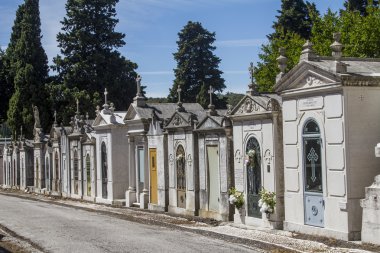 ünlü Portekizli mezarlığı Prazeres bölümünden