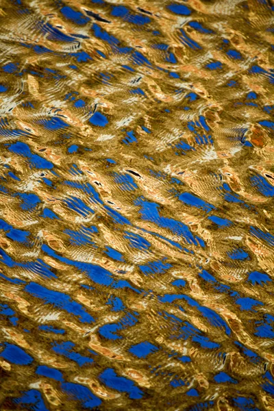 Textur des goldenen Wassers. — Stockfoto