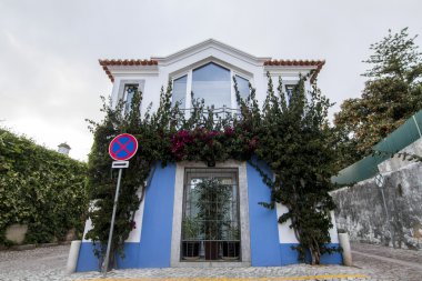 tipik Portekizce villa evi, kapalı bitki örtüsü