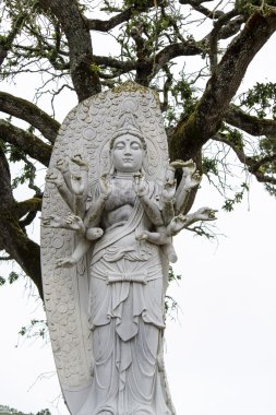 Buda heykeli üzerinde bir park.