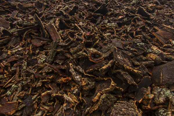 Cork transformation factory. — Stock Photo, Image