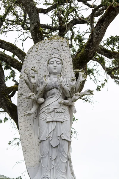 Statue de Bouddha sur un parc . — Photo