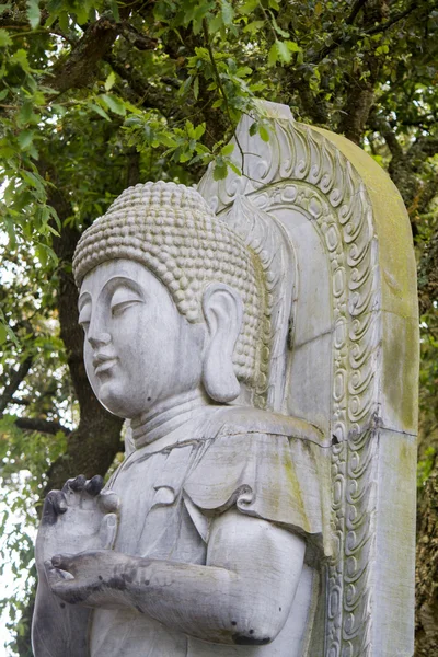 Boeddha standbeeld op een park. — Stockfoto