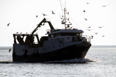 Ria Formosa koruluklar çıkmadan gemi Balık tutma