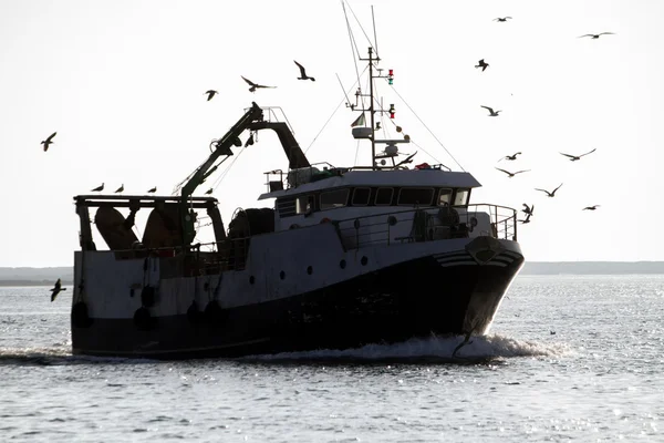 Navio de pesca que sai pelos pântanos da Ria Formosa — Fotografia de Stock