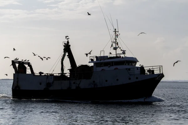 Fiskerfartøj, der sejler gennem Ria Formosa-sumpområderne - Stock-foto
