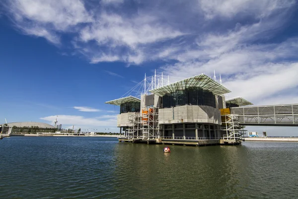 Acuario interior más grande de Europa — Foto de Stock