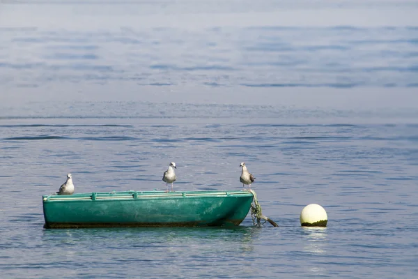 Anchored traditional fishing boat with three seagulls — Stock Photo, Image