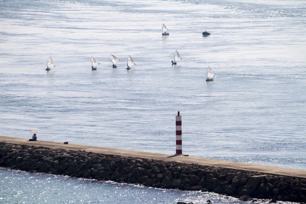 View of a bunch of small sailboats — Stock Photo, Image