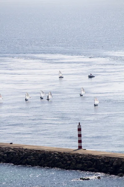View of a bunch of small sailboats — Stock Photo, Image
