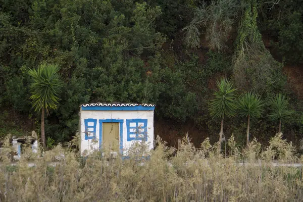 Küçük şirin mavi ev — Stok fotoğraf