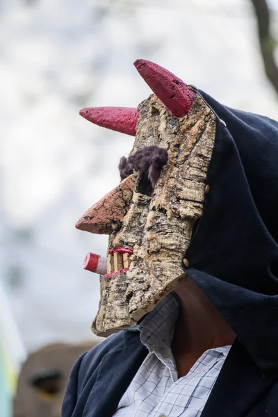 Parad av kostymer och traditionella masker — Stockfoto