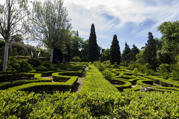 Vista sul bellissimo giardino — Foto Stock