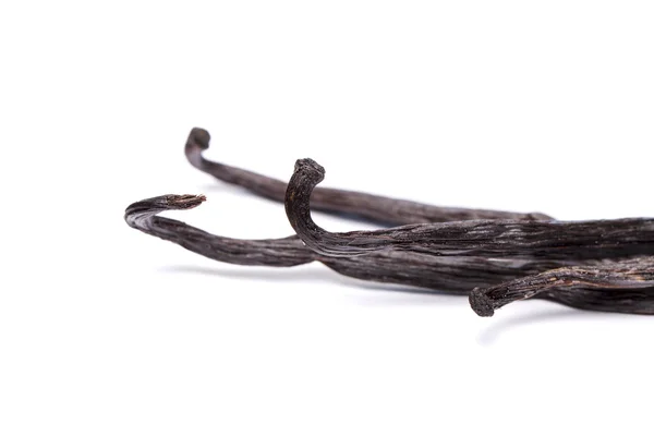 Vanilla pods over a white background — Stock Photo, Image