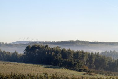 Güzel bir sabah sis manzarası
