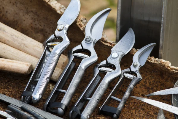 Pruning scissors on a market — Stock Photo, Image