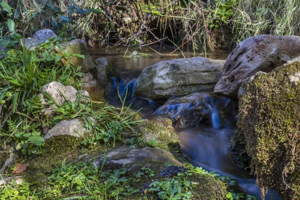 Fresh stream of water — Stock Photo, Image