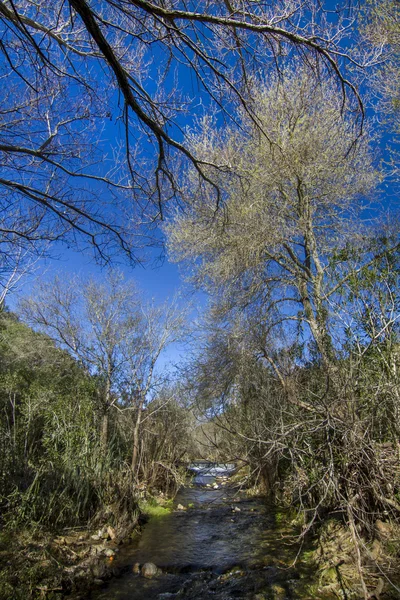 Fresh stream of water — Stock Photo, Image