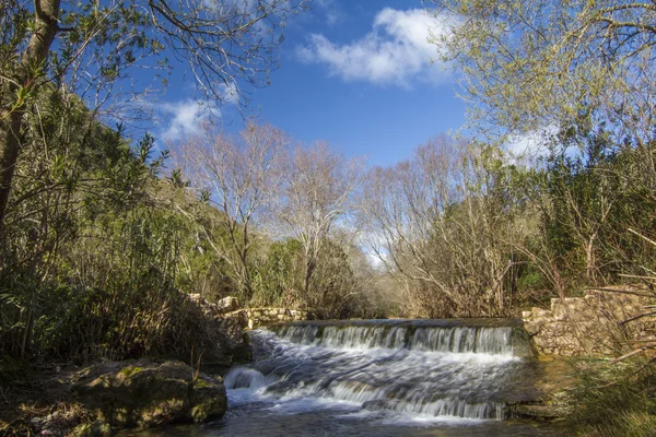 Corriente fresca de agua —  Fotos de Stock