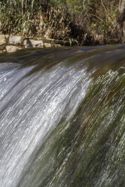 Ruscello d'acqua dolce — Foto Stock