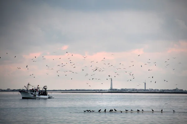 Pequeño barco de pesca seguido de muchas aves — Foto de Stock