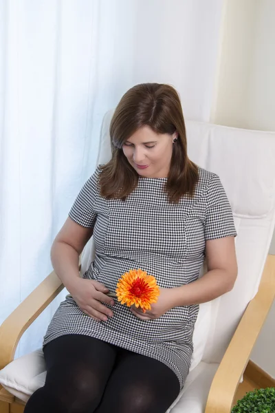 Esperando embarazo femenino — Foto de Stock