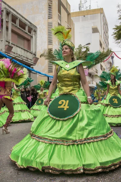 Desfile de carnaval colorido (carnaval) — Foto de Stock