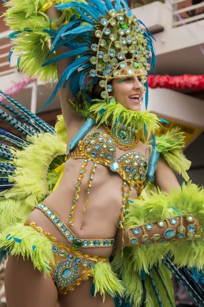 Desfile de carnaval colorido (carnaval) —  Fotos de Stock