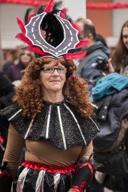 Renkli karnaval (Carnaval) geçit