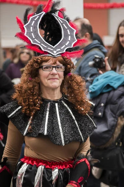 Renkli karnaval (Carnaval) geçit