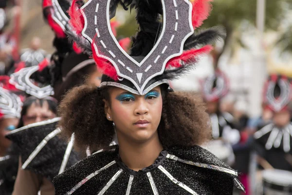 Desfile de carnaval colorido (carnaval) — Foto de Stock