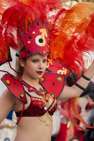 Desfile de carnaval colorido (carnaval) —  Fotos de Stock