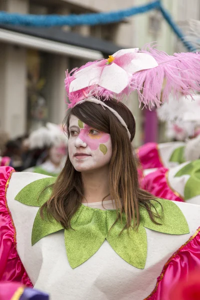 Colorful Carnival (Carnaval) Parade — Stock Photo, Image