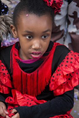 Renkli karnaval (Carnaval) geçit