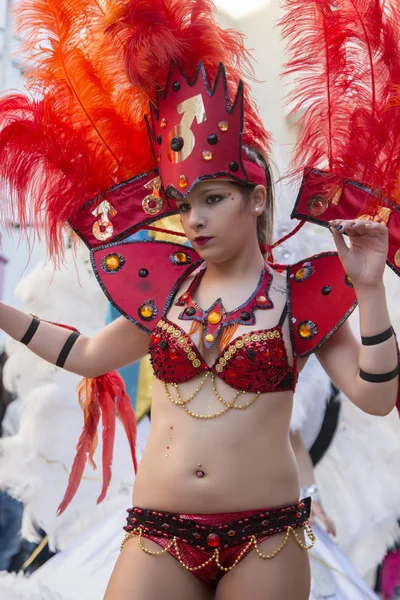 Desfile de carnaval colorido (carnaval) —  Fotos de Stock