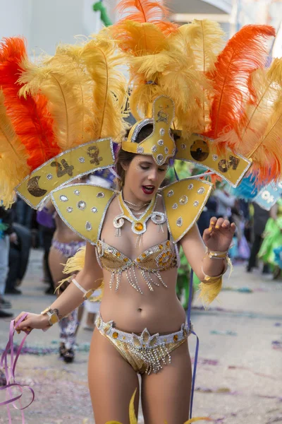 Přehlídka barevné karneval (Carnaval) — Stock fotografie