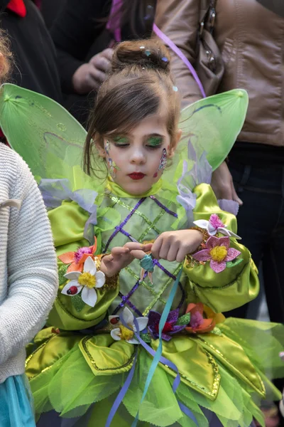 Renkli karnaval (Carnaval) geçit