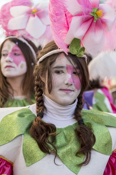 Färgglada Carnival (Carnaval) Parade — Stockfoto