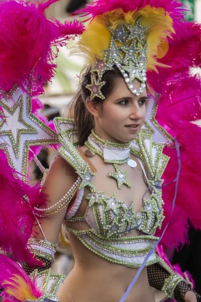 (Carnaval) színes farsangi felvonulás — Stock Fotó