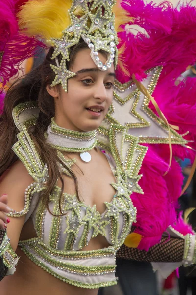 Desfile de carnaval colorido (carnaval) — Foto de Stock