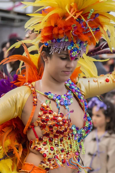 Renkli karnaval (Carnaval) geçit