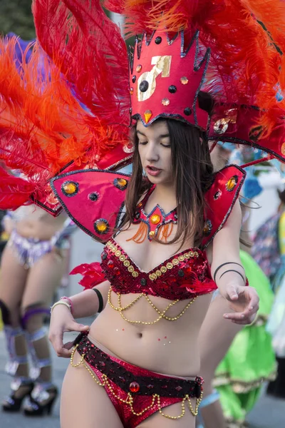 Farbenfroher Karnevalsumzug — Stockfoto