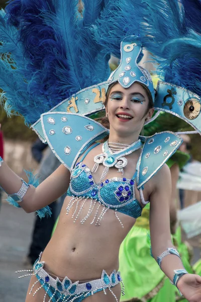 Colorful Carnival (Carnaval) Parade — Stock Photo, Image