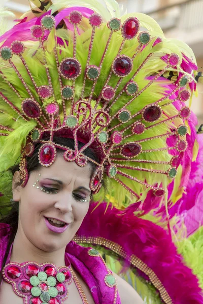 Desfile de Carnaval (Carnaval) — Fotografia de Stock