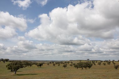 tipik Alentejo kırsal manzara