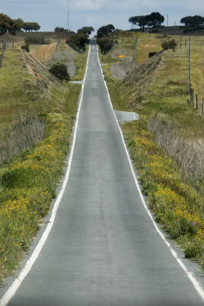 Strada asfaltata lunga diritta in Alentejo — Foto Stock