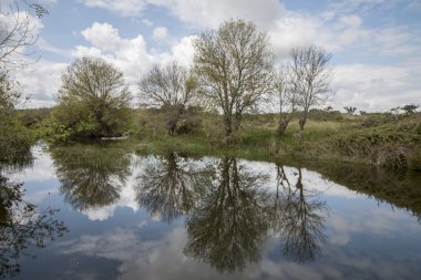 Alentejo su taze akışı doğal peyzaj
